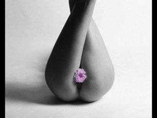 flower erotica - very beautiful